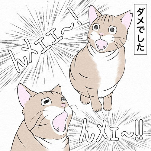 猫の夜鳴きで寝不足に かたっぱしから対策した結果 思いがけない理由が判明する猫漫画が参考になる ねとらぼ