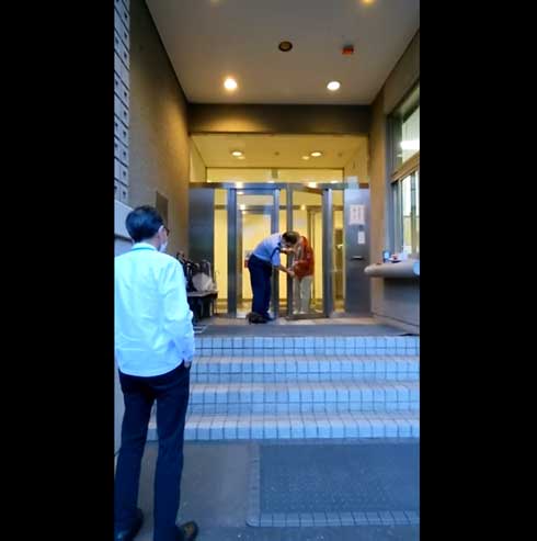 世田谷美術館 タヌキ 赤ちゃん 訪問客 警備員 砧 きぬた