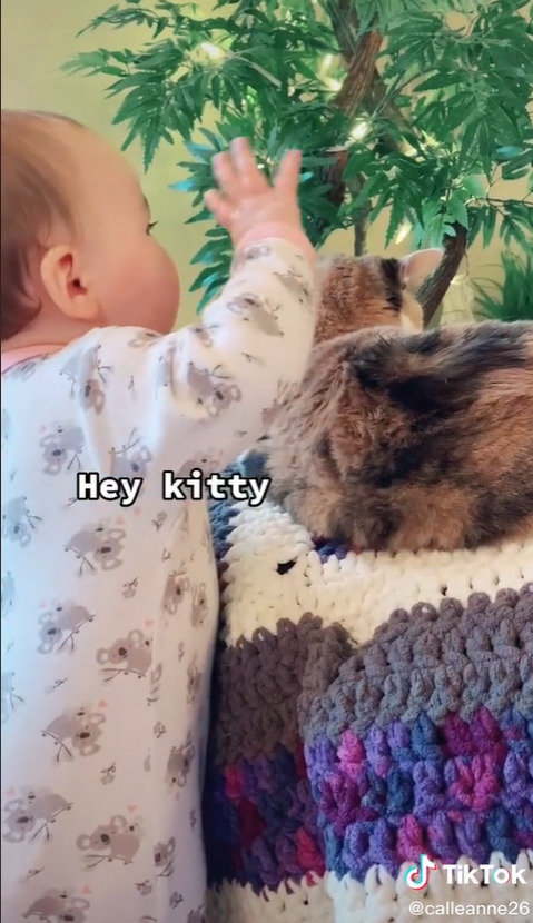 赤ちゃん こっち見て 猫 かまってほしい赤ちゃんとクールな猫のやりとりが面白かわいい 1 2 ページ ねとらぼ