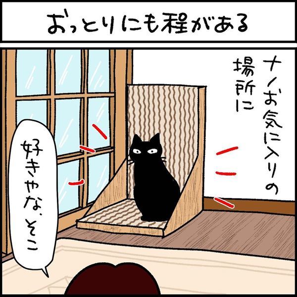 うちの猫 おっとりにも程がある 大好きな場所の変化に気付かない愛猫と 鈍感さに驚く飼い主の漫画 1 2 ページ ねとらぼ