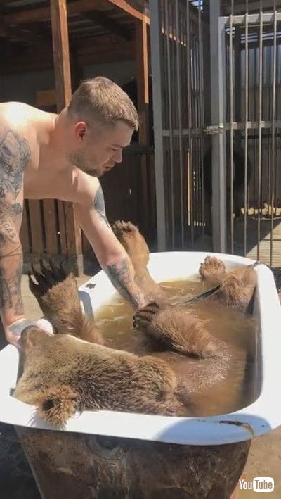「Bear Enjoys Relaxing Bath Time || ViralHog」