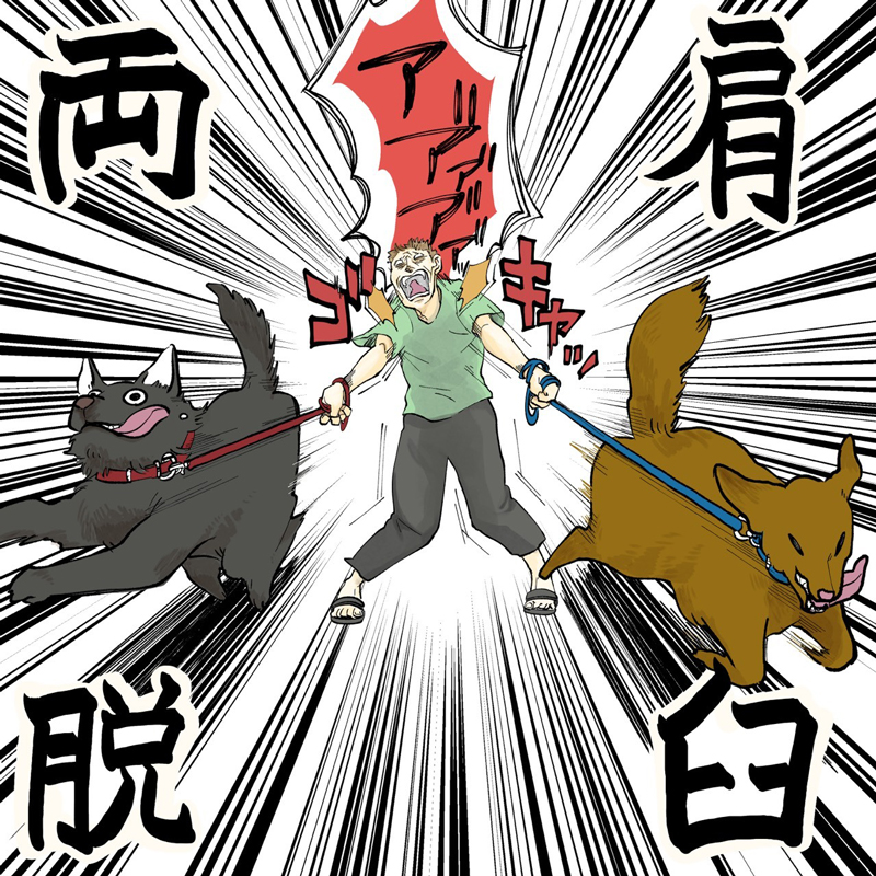 犬あるある 2匹のワンコが突如 真逆に突っ走って 散歩中に 公開処刑 されてしまった飼い主の話 1 2 ページ ねとらぼ