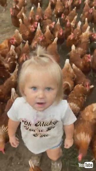 「Adorable Little Girl and Her Army of Chickens || ViralHog」