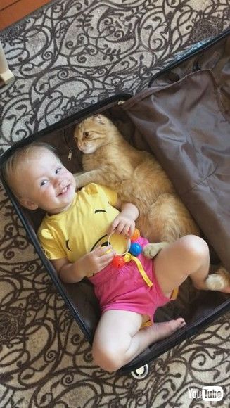 uKitty and Baby Climb Into Suitcase Together || ViralHogv