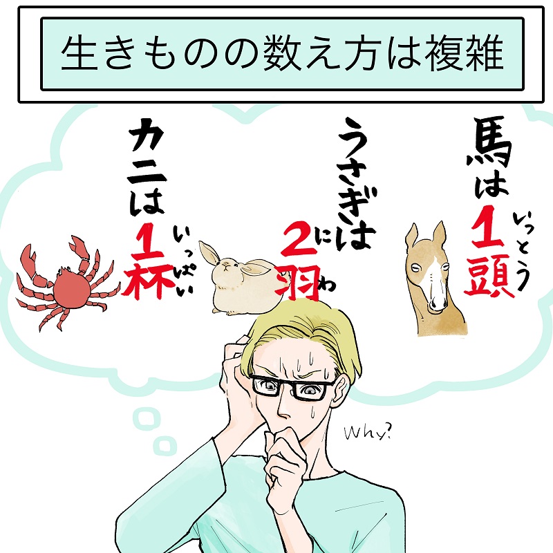 なるほど 馬は1頭 うさぎは2羽 カニは 日本語の 生き物の数え方 は難しいという話 1 2 ページ ねとらぼ