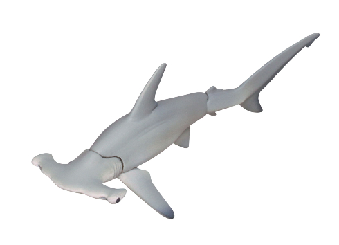 シュモクザメやノコギリザメ 可動式フィギュアになったサメがカプセルトイで8月発売 ねとらぼ