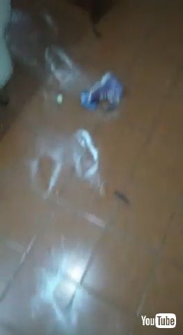 uKids Spill Flour All Over the Kitchen Floor - 1203288v