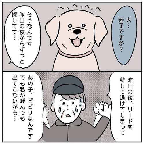 愛犬と散歩中 泣きながら犬を探すおじさんに出会って 15年越しに感謝のメッセージをもらう漫画にほっこり 1 3 ページ ねとらぼ