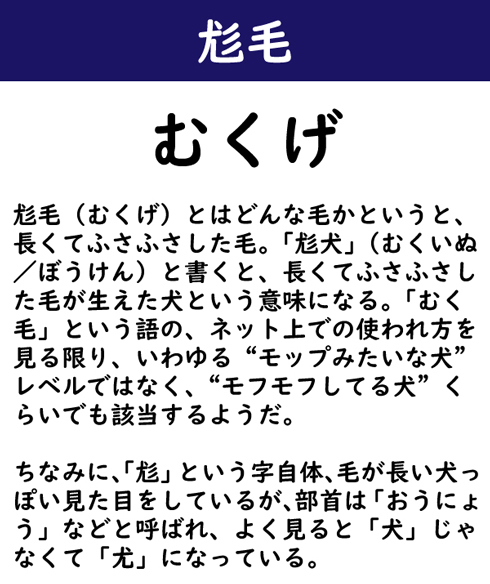 なんて読む 今日の難読漢字 尨毛 2 11 ページ ねとらぼ