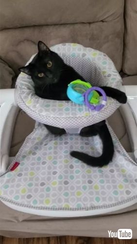  Playing in Baby Chair