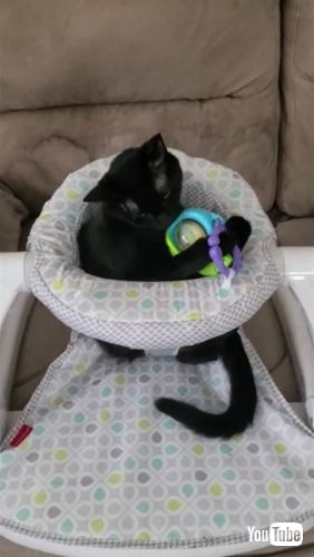  Playing in Baby Chair