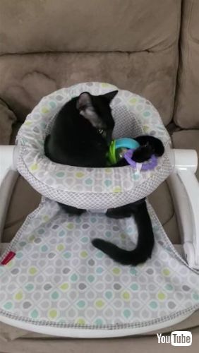  Playing in Baby Chair