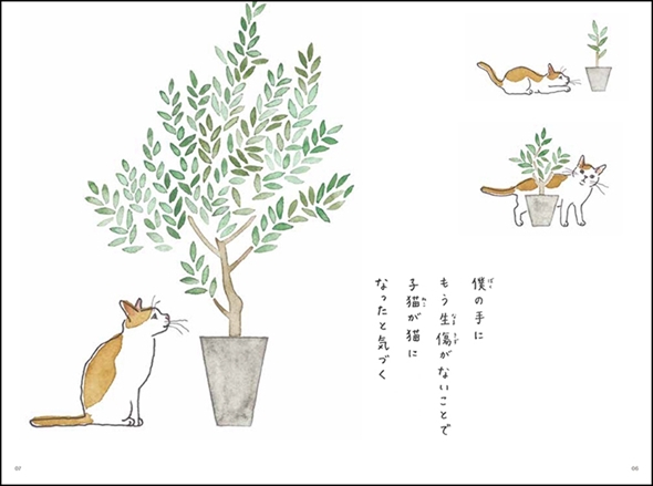 僕の手に もう生傷がないことで 子猫が猫に なったと気づく