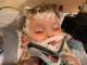 シャロン・ストーン、11カ月の甥が臓器不全で昏睡状態に　「私たちには奇跡が必要」と人々に祈り求める
