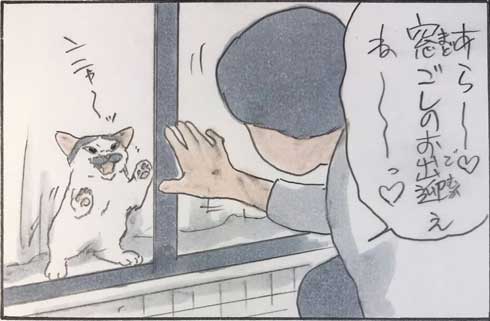 猫 漫画 拾い猫のモチャ 窓ごしの愛情 ツンデレ