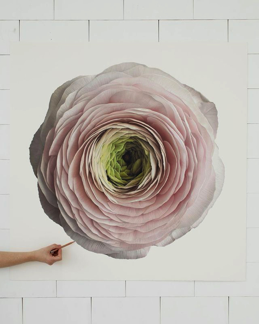 写真じゃないの 色鉛筆で描かれた花の絵が超リアル 1 2 ページ ねとらぼ 写真じゃないの 色鉛筆で描かれた花の絵が超リアル 1 2 ページ ねとらぼ