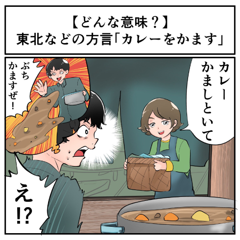 東北地方などの方言 カレーをかます ってどんな意味 マジで方言じゃないと思ってた言葉 1 3 ページ ねとらぼ