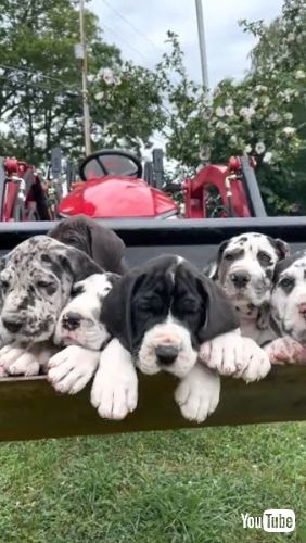 A Tractor Bucket