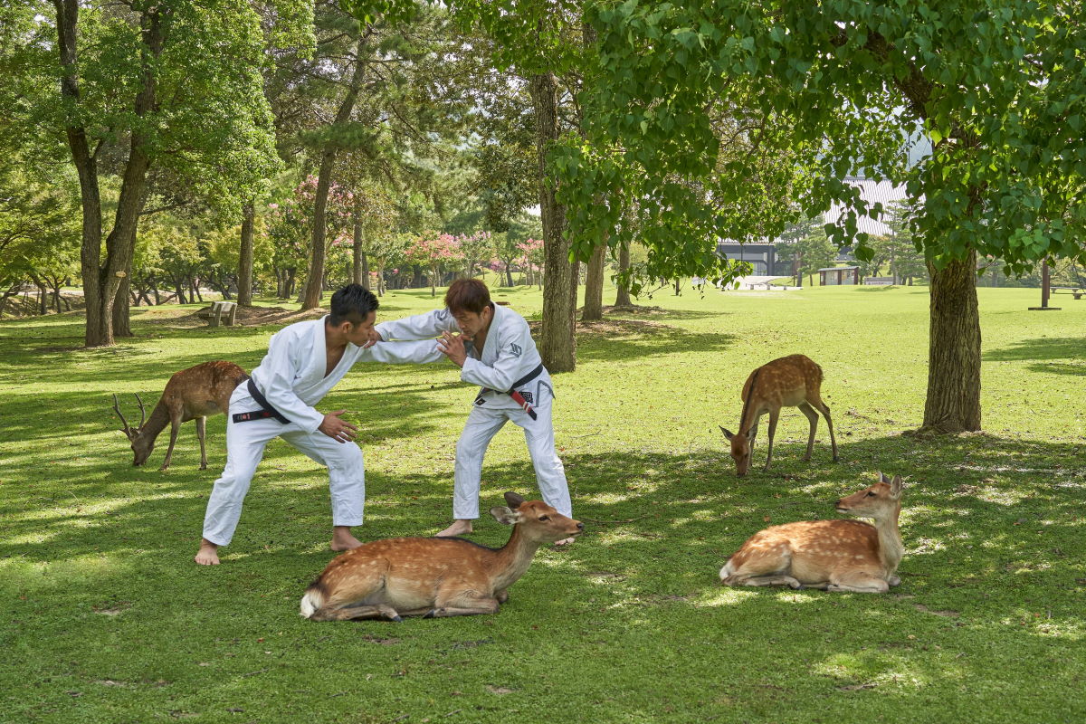 奈良公園で柔術をするところ がシュール過ぎて合成写真にしか見えず人気に 奈良県民から見てもコラ ここではだしだと 1 2 ページ ねとらぼ