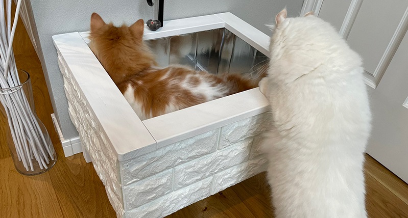 すごい 発想も素敵 シンク好きな猫のために猫用シンク型ベッドを作った飼い主に称賛の声 ねとらぼ