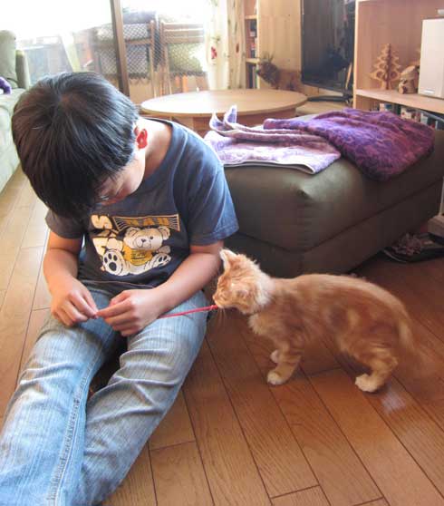 保護猫 息子 出会い 記念日 10年 ピョンタ