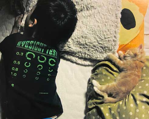 保護猫 息子 出会い 記念日 10年 ピョンタ