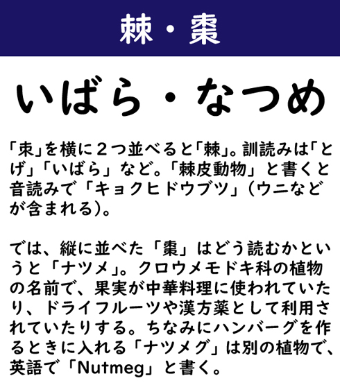 なんて読む 今日の難読漢字 戈 戊 戉 戌 戍 成 3 11 ページ ねとらぼ