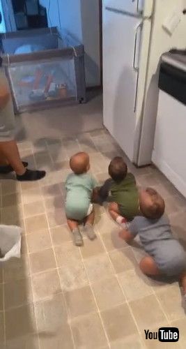 uParent Struggles to Keep Triplets Out of Open Refrigerator as They Keep Crawling Into it - 1238905v