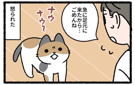 猫ふんじゃった ら怒る猫 しかし人をふむのは 悪びれない猫を許しちゃう飼い主を描いた漫画に共感集まる 1 2 ページ ねとらぼ