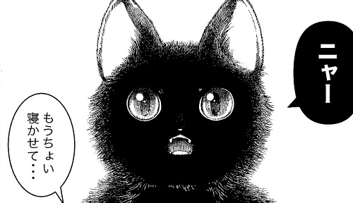 かわいい黒猫の飼い主は まさかの 黒猫と暮らす 猫のヒト の日常漫画に不思議な読後感を覚える ねとらぼ
