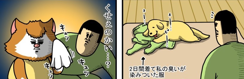 漫画 愛猫たちに くせぇ と思われた飼い主 落ち込むも 自分の 匂い を気にしない愛犬に心が救われる 1 2 ページ ねとらぼ