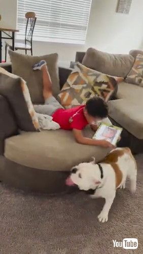 uBulldog Spinning Nephew in Chair || ViralHogv