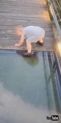 uToddler Attempts to Cross onto Glass Bridge || ViralHogv