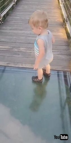 uToddler Attempts to Cross onto Glass Bridge || ViralHogv