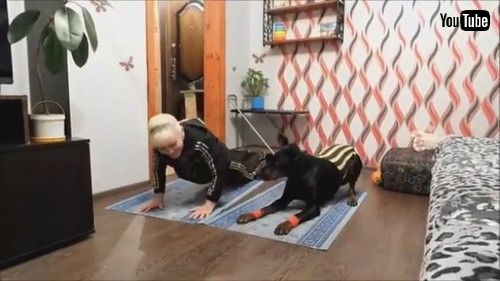 uDoberman Joins in on Exercise Routine || ViralHogv