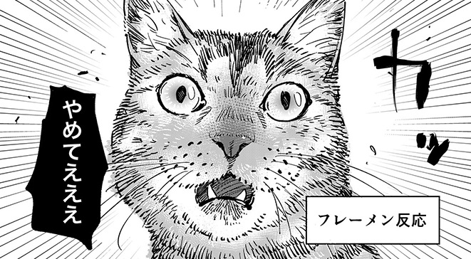 愛猫が飼い主の枕の匂いをかいだら まさかの フレーメン反応 にショックを受ける漫画がちょっぴり切ない 1 2 ページ ねとらぼ