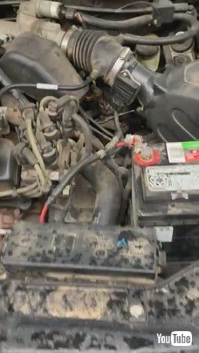 uKitten Crawls Out of Car's Engine Compartment || ViralHogv