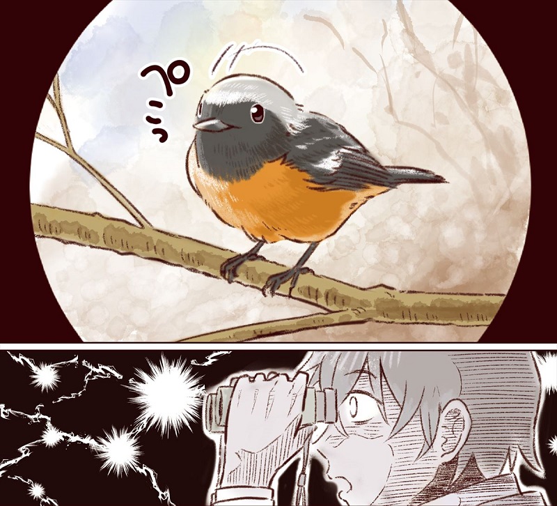 会社と家を往復する日々に むなしさを感じていた男の人生を変えたのは バードウォッチングの魅力を描いた漫画が興味深い ねとらぼ