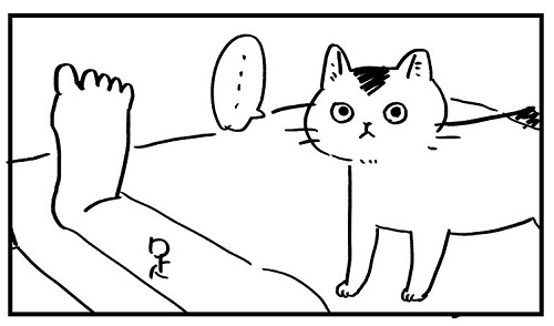 猫と一緒に寝たい飼い主 腕枕を誘うが 猫飼いの理想と現実を描いた漫画に あるある うちもこれ の声 ねとらぼ
