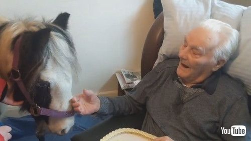「Grandads Heartwarming Surprise on his 96th Birthday || ViralHog」