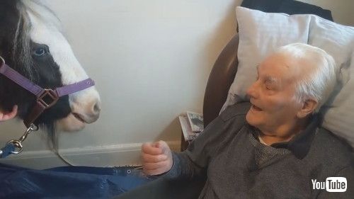 「Grandads Heartwarming Surprise on his 96th Birthday || ViralHog」