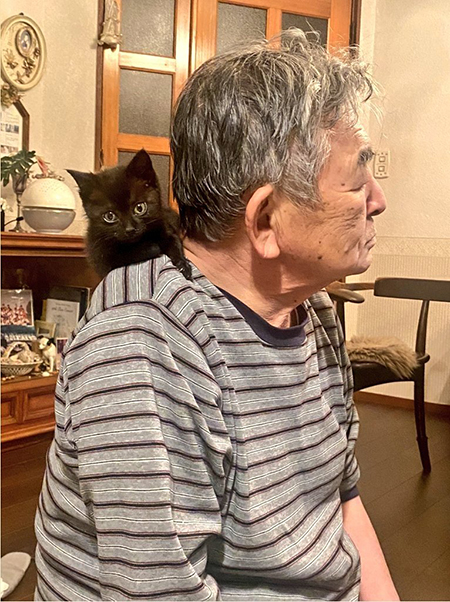 父と猫