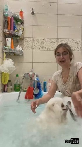 「Pomeranian Swims in the Bathtub || ViralHog」