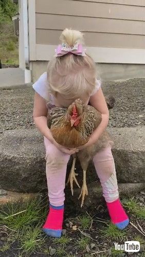 「Child With Her Chickens || ViralHog」