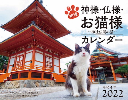 神社仏閣の猫