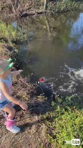 uDaughter Reeling in First Fish Drops Pole || ViralHogv