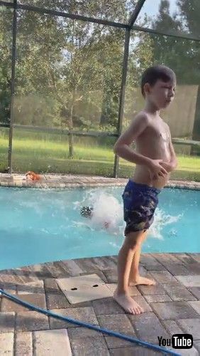 uLittle Boy Leaps Into Pool to Save Anna Doll || ViralHogv