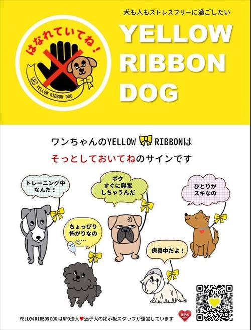 日本での認知度はほぼゼロ」「虐待経験がある保護犬が付けることも」 黄色いリボンは“そっとしておいて”のサイン――イエロードッグプロジェクトの現実と未来を聞いた（要約）  - ねとらぼ