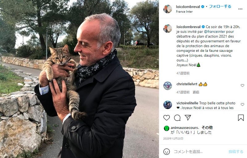 仏で動物愛護に関する法案が可決 ペット店での犬猫販売 水族館のイルカ飼育が禁止に 動物愛護団体と水族館の反応を取材 1 3 ページ ねとらぼ