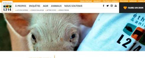 フランス 動物愛護 動物虐待防止法